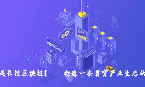 什么是成长链区块链?——打造一条贯穿产业生态的区块链
