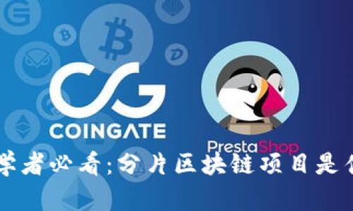 初学者必看:分片区块链项目是什么
