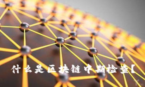 什么是区块链中期检查?
