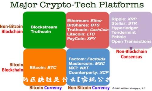 政务上的区块链是什么?实现公共服务的提升!