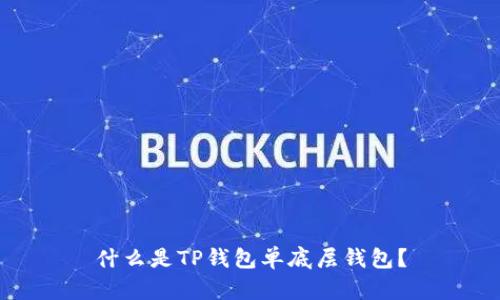 什么是TP钱包单底层钱包?