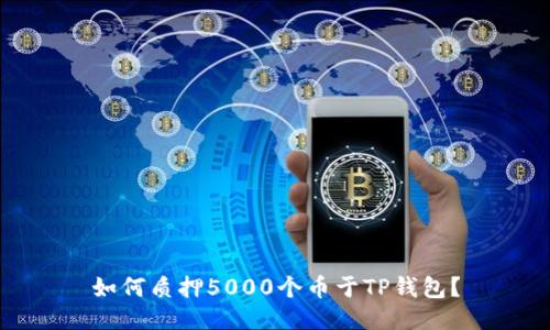 如何质押5000个币于TP钱包?