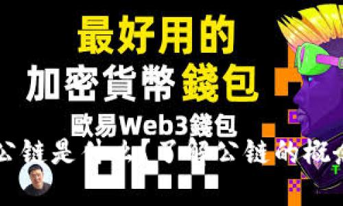区块链中的公链是什么?了解公链的概念和运作方式