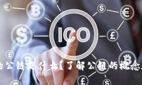 区块链中的公链是什么?了解公链的概念和运作方式