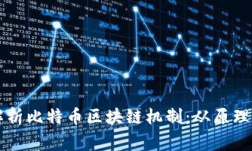 深入解析比特币区块链机制：从原理到应用