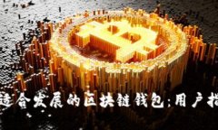 如何选择适合发展的区块链钱包：用户指南与推