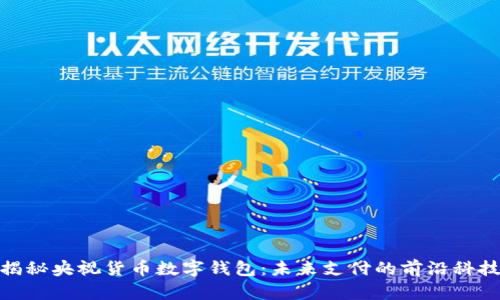 揭秘央视货币数字钱包：未来支付的前沿科技