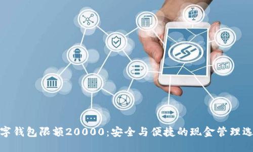 数字钱包限额20000:安全与便捷的现金管理选择