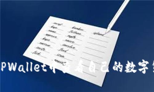 如何在TPWallet中查看自己的数字货币资产