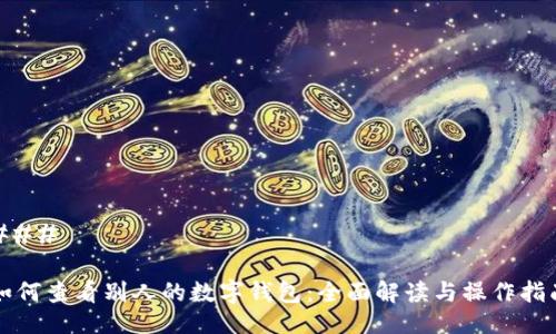 ### 

如何查看别人的数字钱包：全面解读与操作指南
