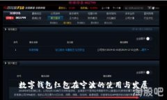数字钱包红包在宁波的使用与发展
