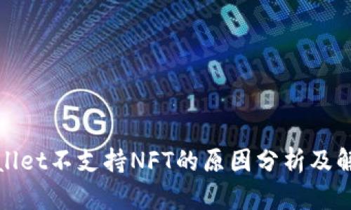: TPWallet不支持NFT的原因分析及解决方案