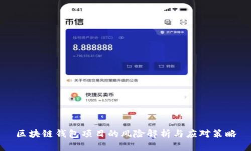 区块链钱包项目的风险解析与应对策略