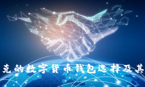 探索伊拉克的数字货币钱包选择及其使用指南
