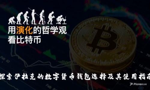 探索伊拉克的数字货币钱包选择及其使用指南