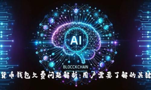 数字货币钱包欠费问题解析：用户需要了解的关键因素