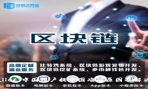 TPWallet：中国用户提币困难的原因及解决方案