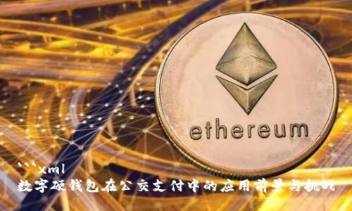 ```xml
数字硬钱包在公交支付中的应用前景与挑战