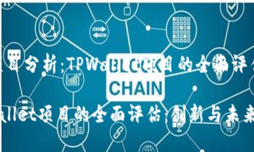 # 项目分析：TPWallet项目的全面评估

TPWallet项目的全面评估：创新与未来展望