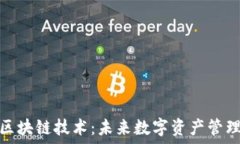  轻钱包区块链技术：未来数字资产管理的先锋