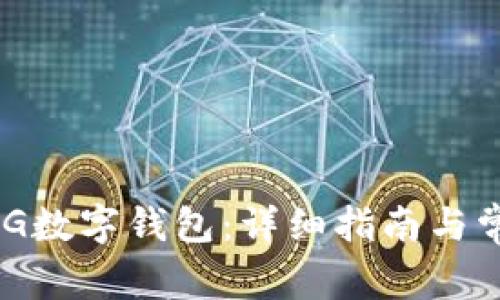 如何创建MSG数字钱包：详细指南与常见问题解答