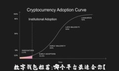 数字钱包推荐：哪个平台最适合你？