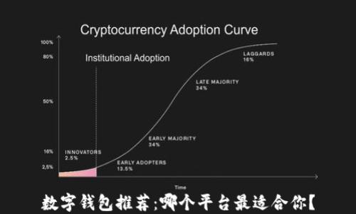 
数字钱包推荐：哪个平台最适合你？