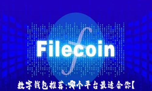 
数字钱包推荐：哪个平台最适合你？