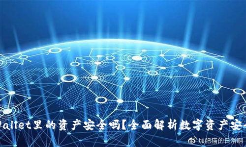 TPWallet里的资产安全吗？全面解析数字资产安全性