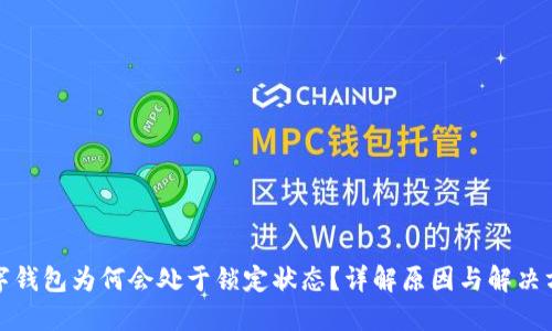 数字钱包为何会处于锁定状态？详解原因与解决方案