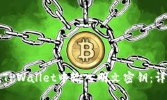 如何在TPWallet中输入明文密钥：详细指南