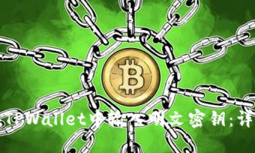 如何在TPWallet中输入明文密钥：详细指南