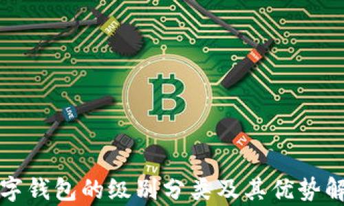 
数字钱包的级别分类及其优势解析