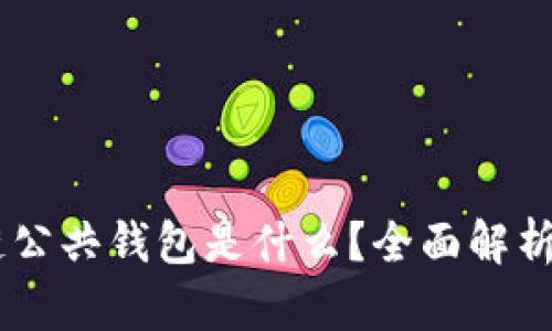 ## 区块链公共钱包是什么？全面解析及使用指南
