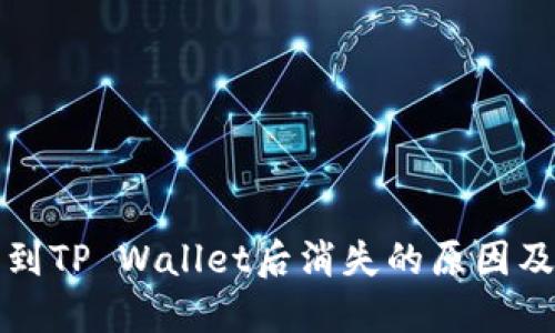 火币提币到TP Wallet后消失的原因及解决方案