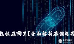区块链钱包放在哪里？全面解析存储选择与安全