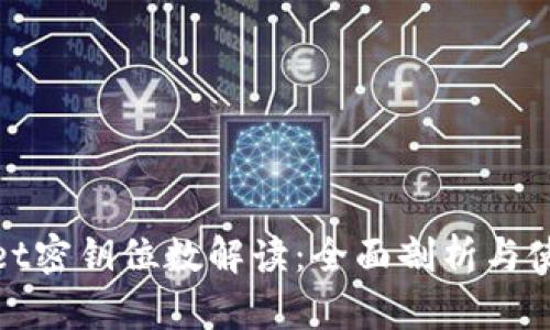 tpwallet密钥位数解读：全面剖析与使用指南