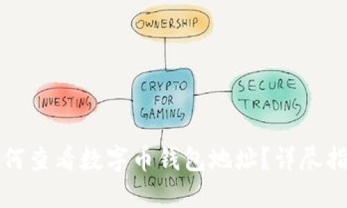 如何查看数字币钱包地址？详尽指南