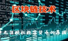 TPWallet中无法授权数字货币的原因及解决方案