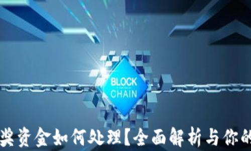
TPWallet未中奖资金如何处理？全面解析与你的钱有关的一切