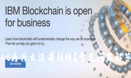 扫码TPWallet为什么没有到账？常见问题解答及解决方案