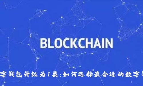 : 数字钱包升级为1类：如何选择最合适的数字钱包？