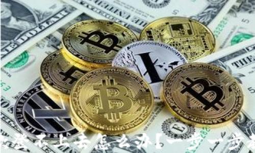 
数字钱包还款登不上去怎么办？一步一步教你解决问题