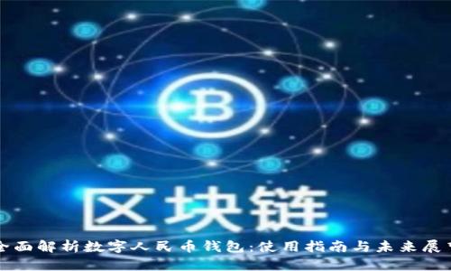 全面解析数字人民币钱包：使用指南与未来展望