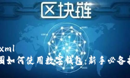 ```xml
币圈如何使用数字钱包：新手必备指南
