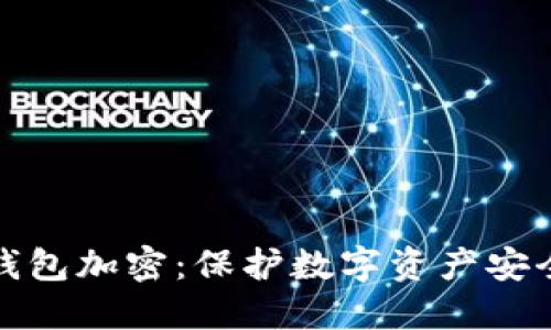 早期比特币钱包加密：保护数字资产安全的必经之路
