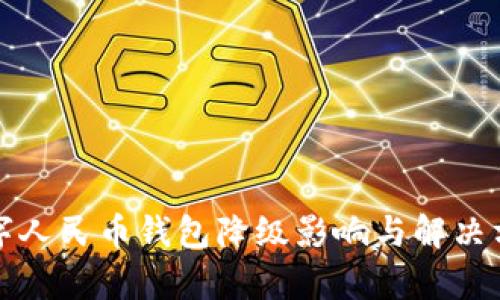 建行数字人民币钱包降级影响与解决方案分析