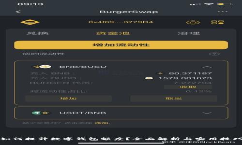 如何提升数字钱包额度？全面解析与实用技巧