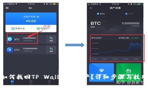 如何找回TP Wallet的资产？详细步骤与技巧
