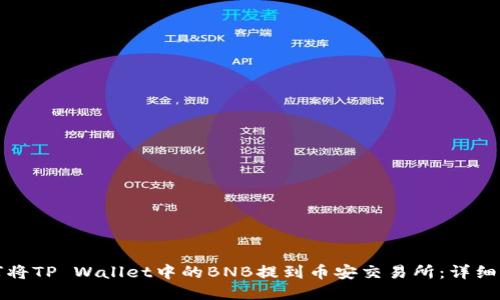 如何将TP Wallet中的BNB提到币安交易所：详细指南